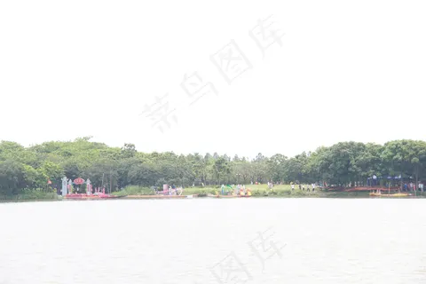 端午赛龙舟图片