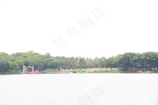 端午赛龙舟图片