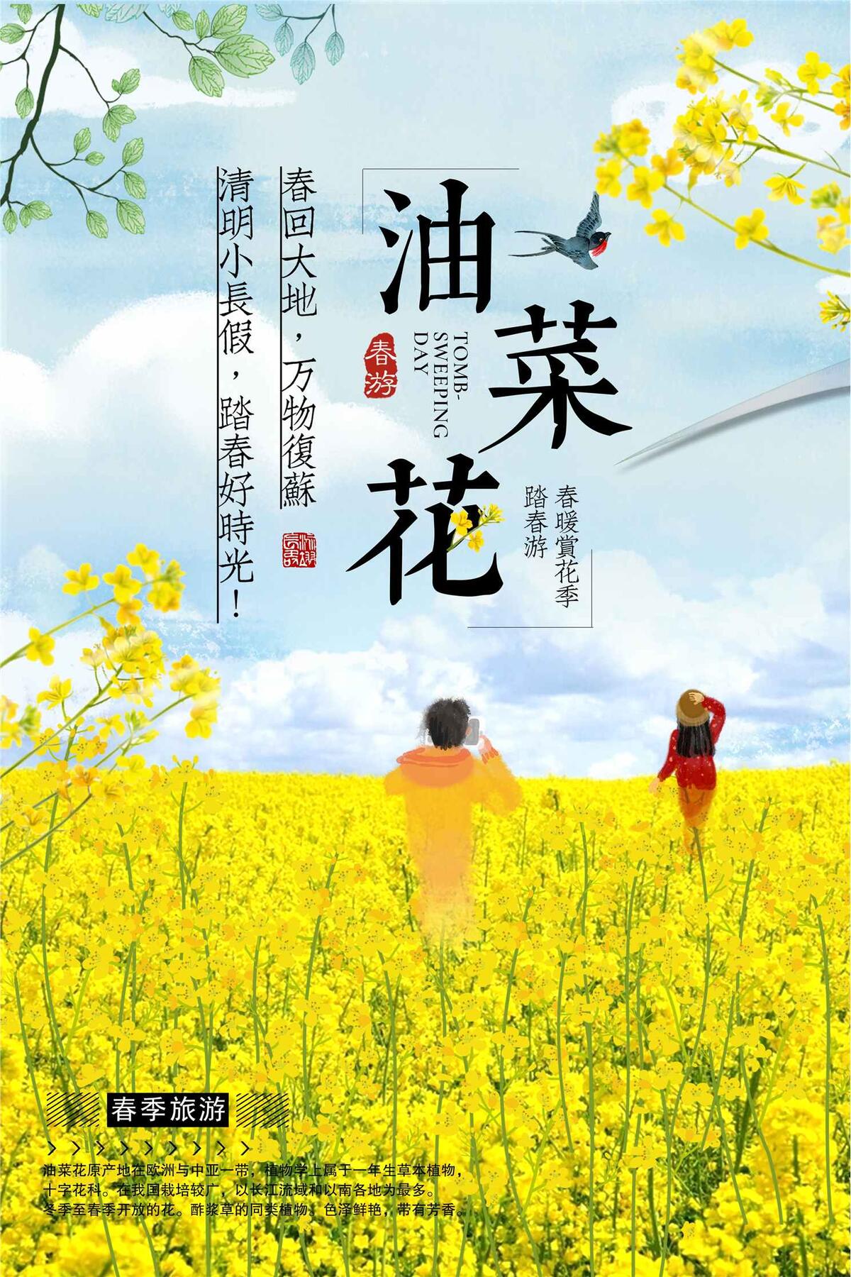 油菜花旅游海报设计(3543X5315(DPI:150))psd模版下载