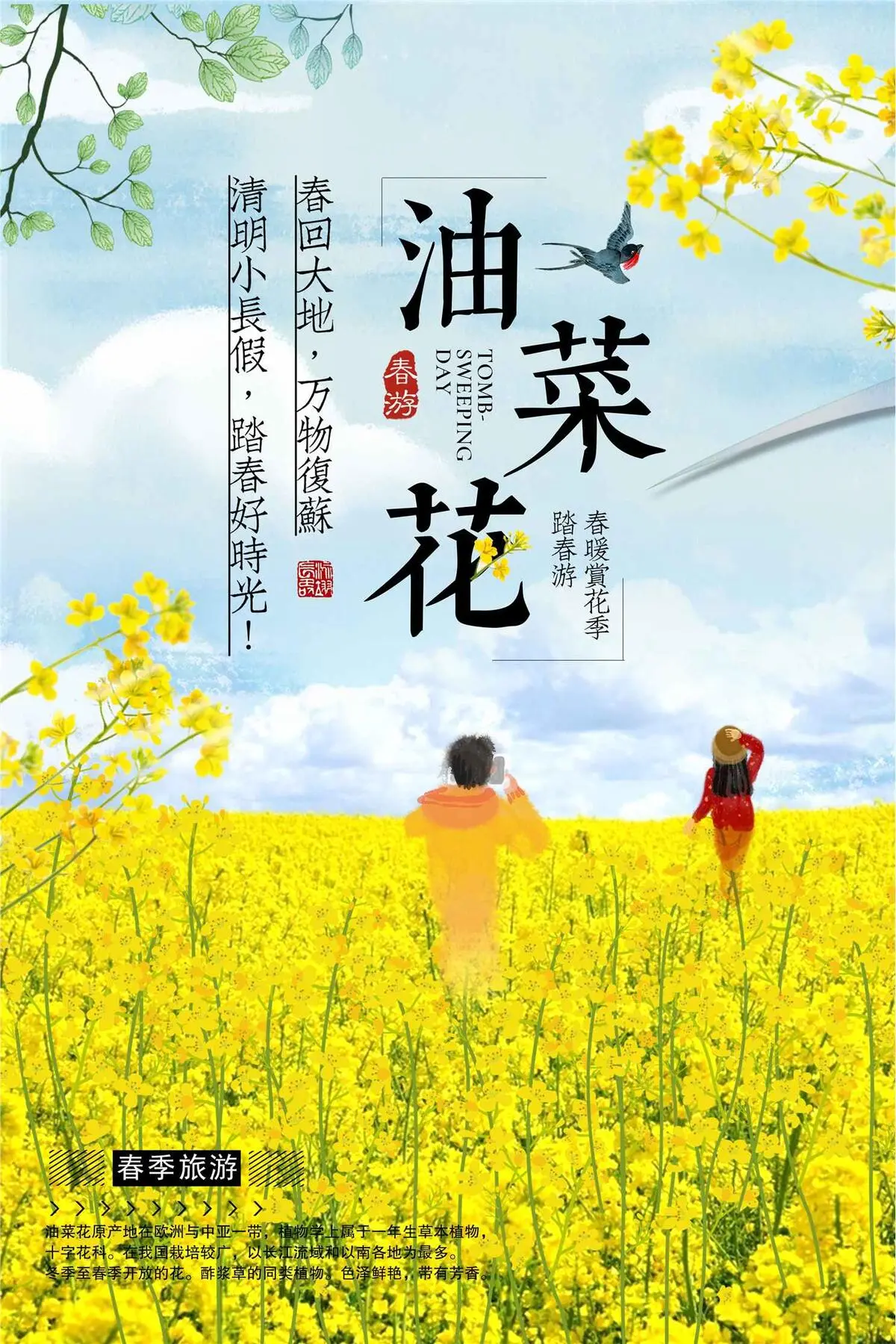 油菜花旅游海报设计(3543X5315(DPI:150))psd模版下载
