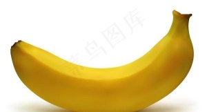 矢量素材的AI绘制逼真的香蕉