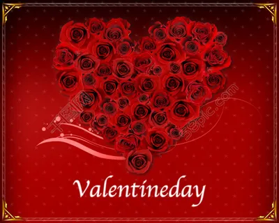 玫瑰心型高清背景 玫瑰心型高清背景