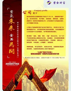 金融公司简介单页