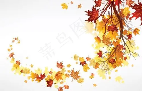 枫叶创意设计矢量素材三
