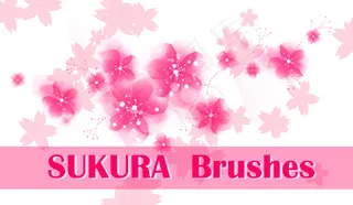PS樱花笔刷合辑