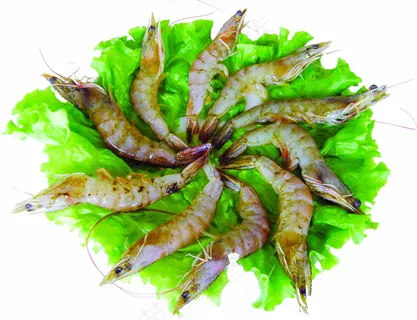 菜品样图88 食品餐饮 菜谱素材 ...