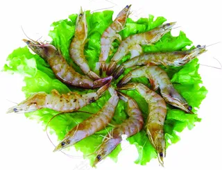 菜品样图88 食品餐饮 菜谱素材 ...