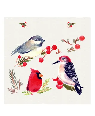 手绘工笔画小鸟素材背景