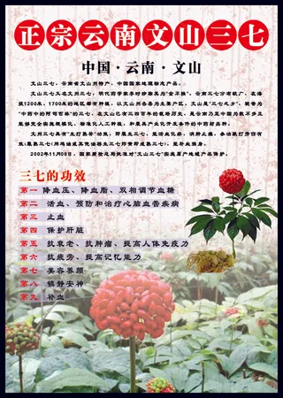 正宗云南文山三七