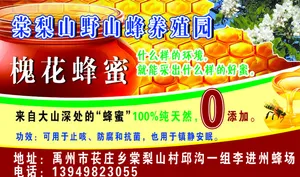 槐花蜂蜜不干胶图片