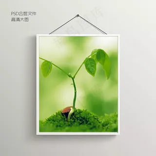 植物生长摄影无框装饰画