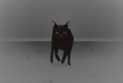 正面奔跑的黑猫fash动画