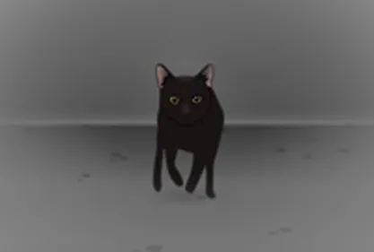 正面奔跑的黑猫fash动画