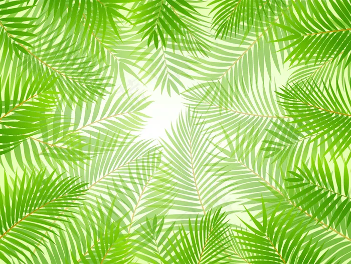 枝繁叶茂热带植物矢量素材