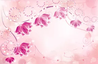 菊花 玫瑰 百合