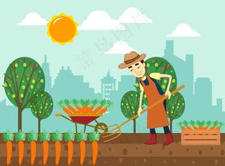 秋天胡萝卜丰收的季节