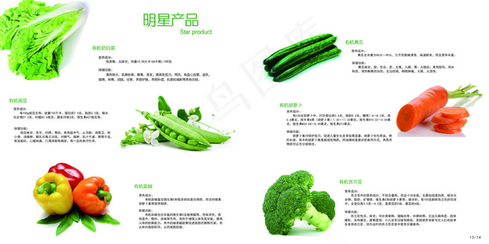 有机蔬菜画册psd模版下载
