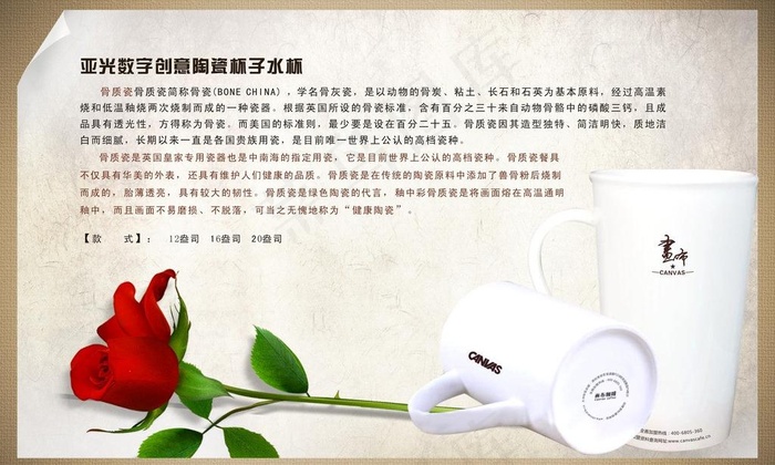 杯子效果图图片(297X210)cdr矢量模版下载