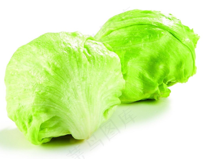 球生菜图片