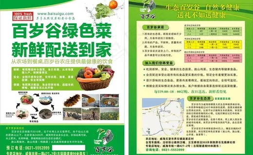 有机生态蔬菜单页图片