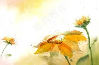 时尚手绘花卉设计图片