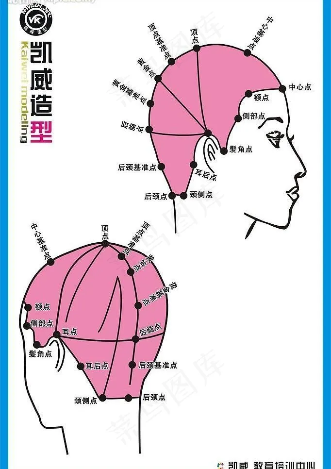 凯威 理发店 头发穴位图图片cdr矢量模版下载
