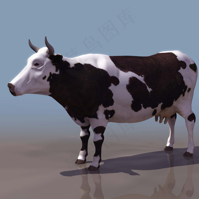 COW奶牛3d模型图片