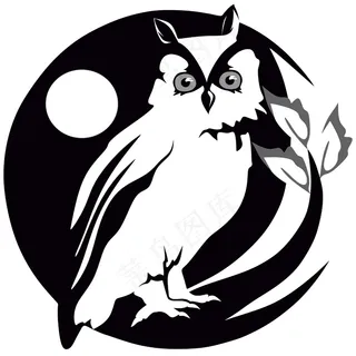 猫头鹰头像