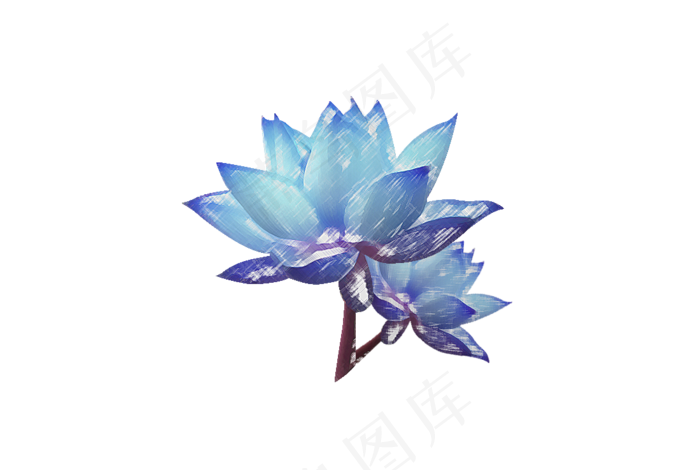 手绘荷花免抠素材下载