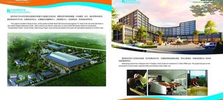 定海国际旅游度假区图片