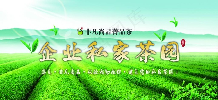 茶叶宣传(1250X625(DPI:150))psd模版下载