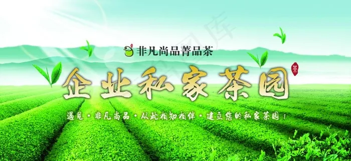 茶叶宣传(1250X625(DPI:150))psd模版下载