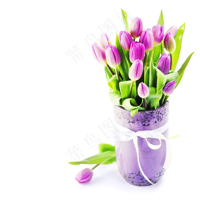 郁金香花束背景图