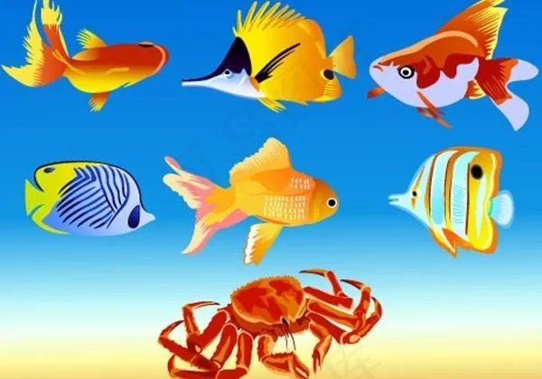 一些海洋动物矢量素材ai矢量模版下载