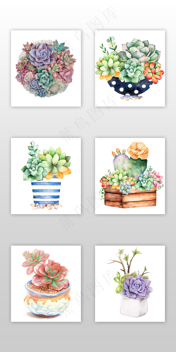 卡通手绘清新多肉植物淘宝素材