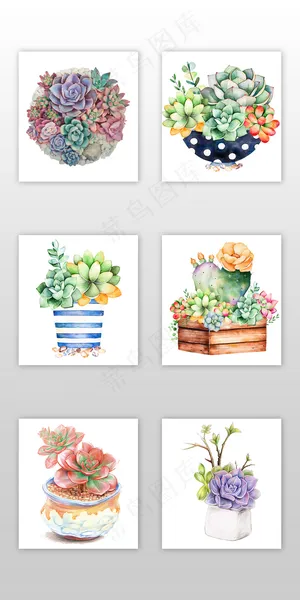 卡通手绘清新多肉植物淘宝素材