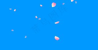 粉红色花瓣飘落动态装饰