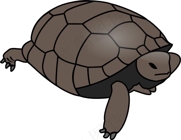 海龟的剪辑艺术