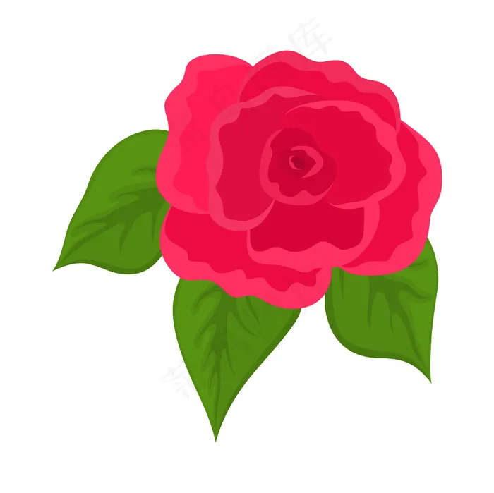 粉红玫瑰eps,ai矢量模版下载