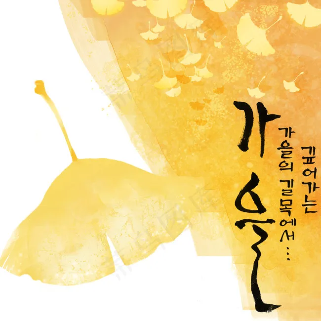 黄色的银杏叶(4000X4000(DPI:300))psd模版下载