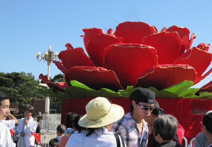 展览花卉图片