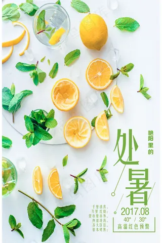 二十四节气处暑海报