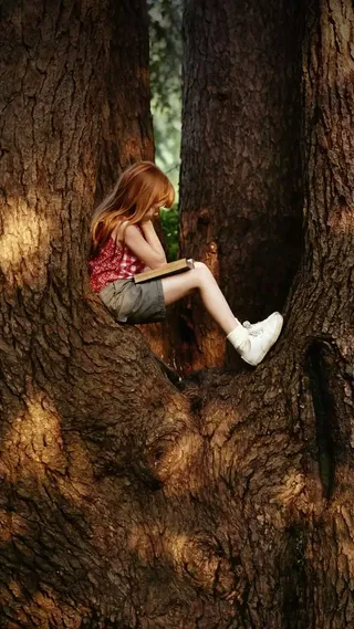 坐在树上看书的女孩高清摄影图片