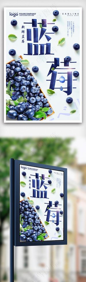 天然蓝莓创意海报.psd