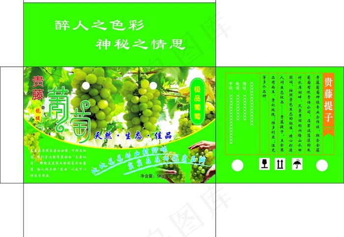 水果包装箱图片cdr矢量模版下载
