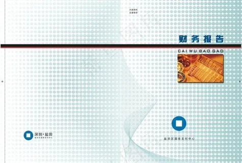 财务报告图片