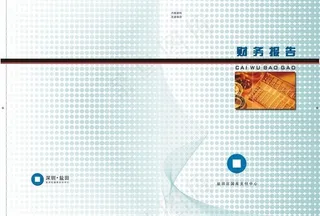 财务报告图片