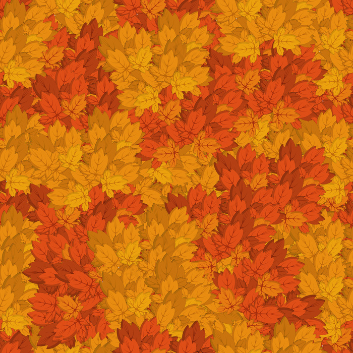 秋天的落叶无缝背景
