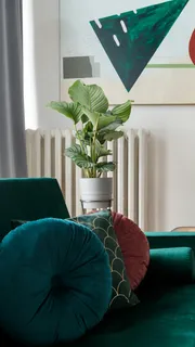 坐垫高清摄影图片