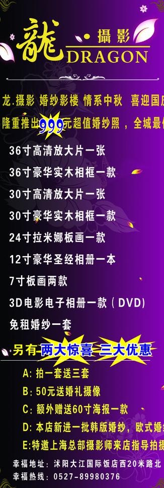龙摄影x展架图片
